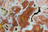 Polished Wyoming Youngite Agate/Jasper Slab - Fluorescent #184771-2